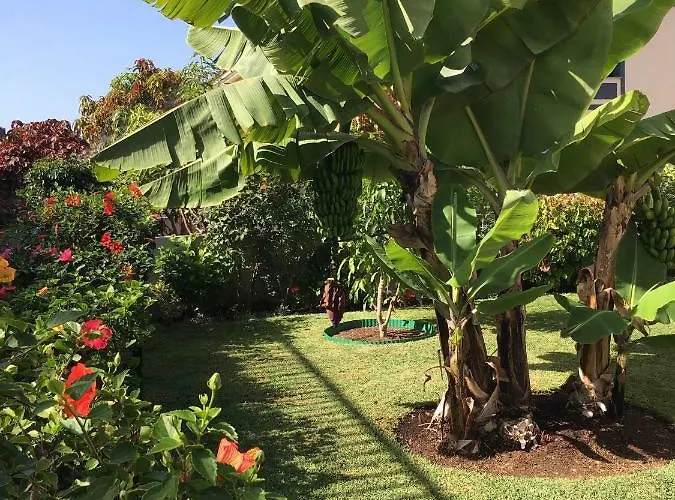 La Quinta Garden Casa de Férias *
